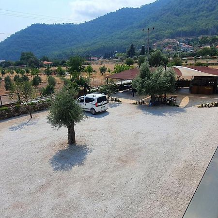 Olive Tree Apart Hotel Muğla Extérieur photo