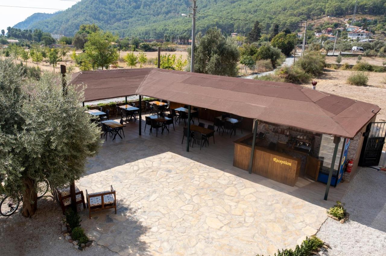 Olive Tree Apart Hotel Muğla Extérieur photo