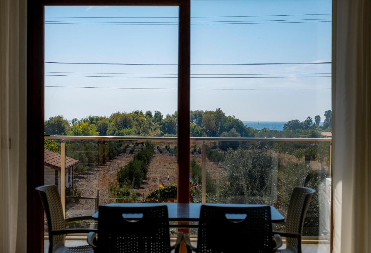 Olive Tree Apart Hotel Muğla Extérieur photo