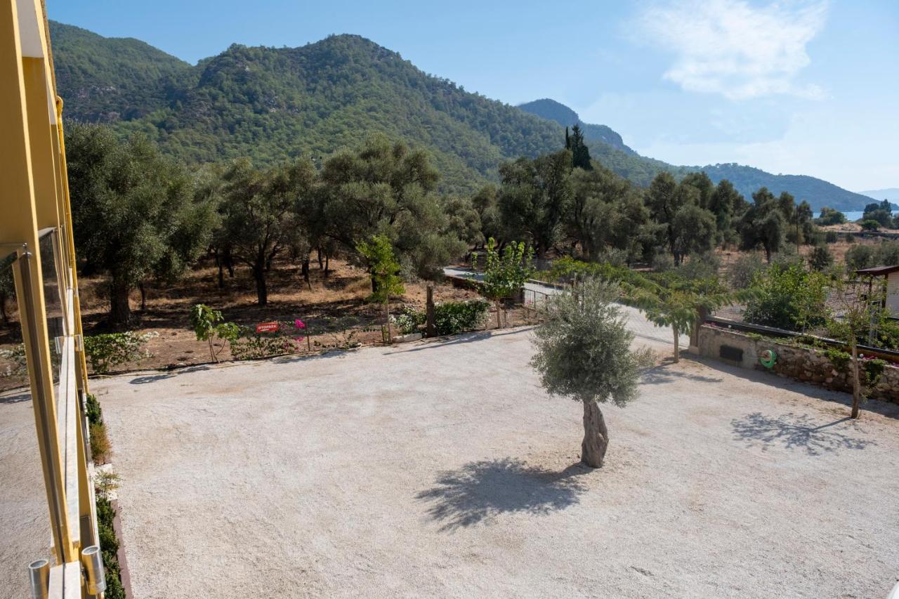 Olive Tree Apart Hotel Muğla Extérieur photo