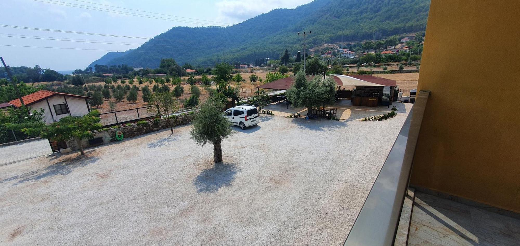Olive Tree Apart Hotel Muğla Extérieur photo